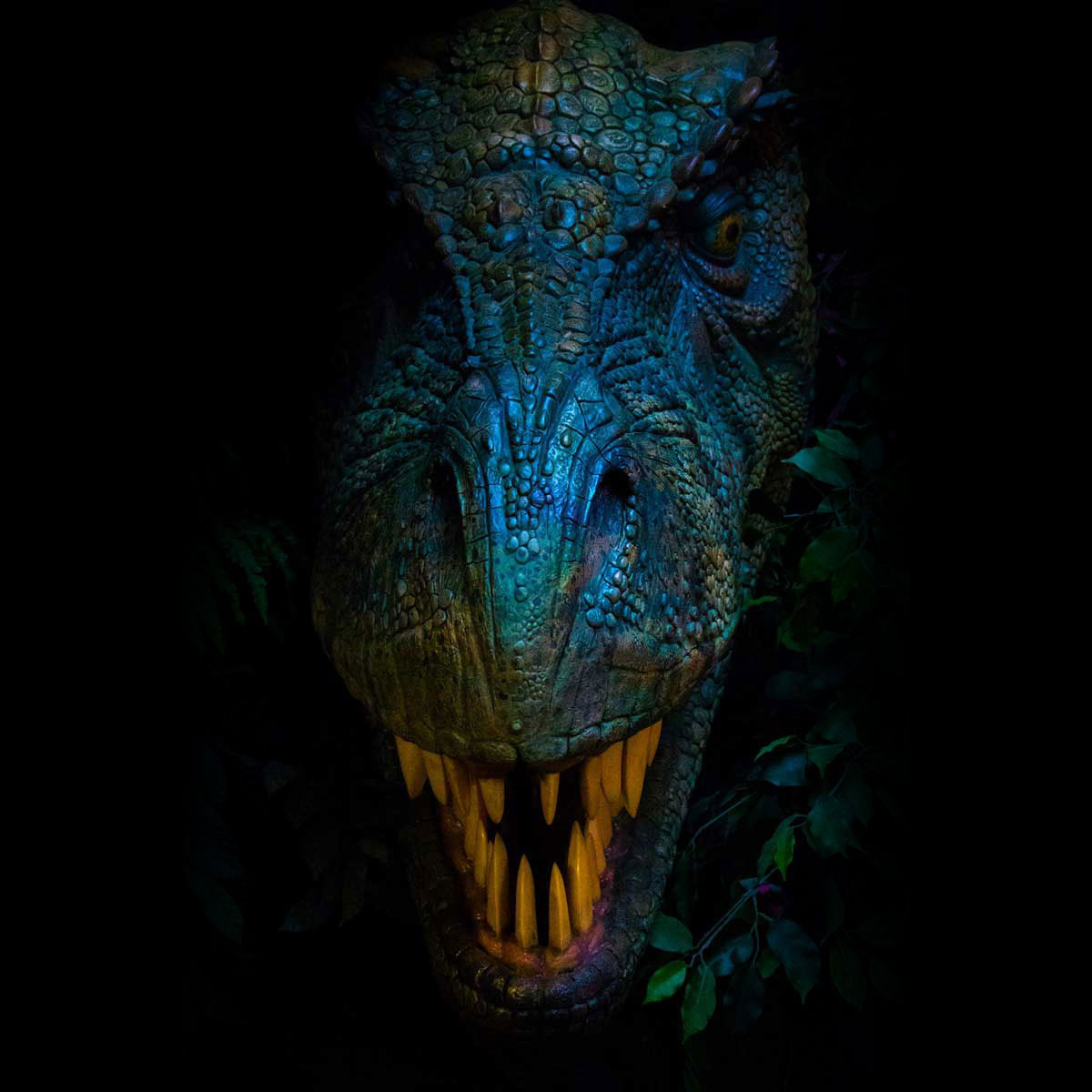 dark-dinosaur-t-rex-sq