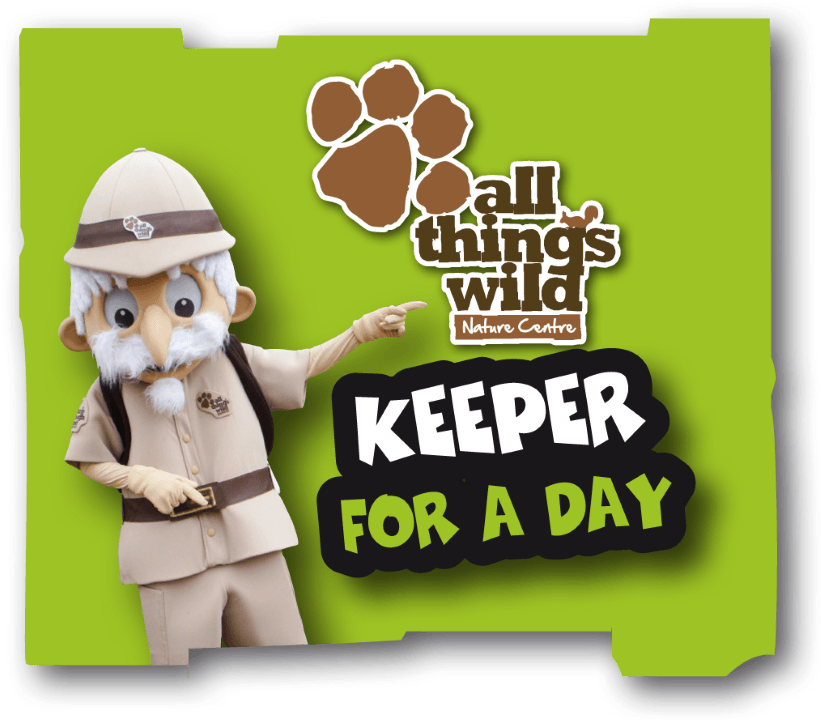 Wild Experiences & Gifts All Things Wild