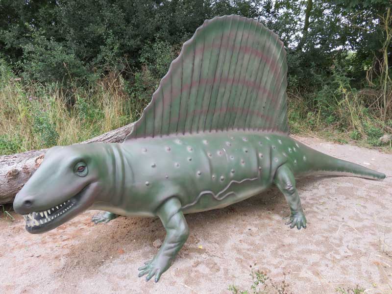 dimetrodon