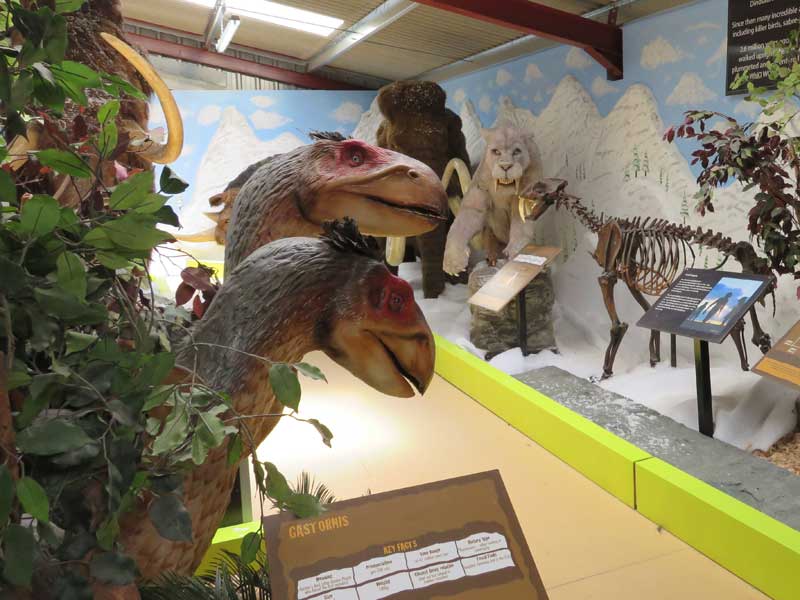dino-skeletons