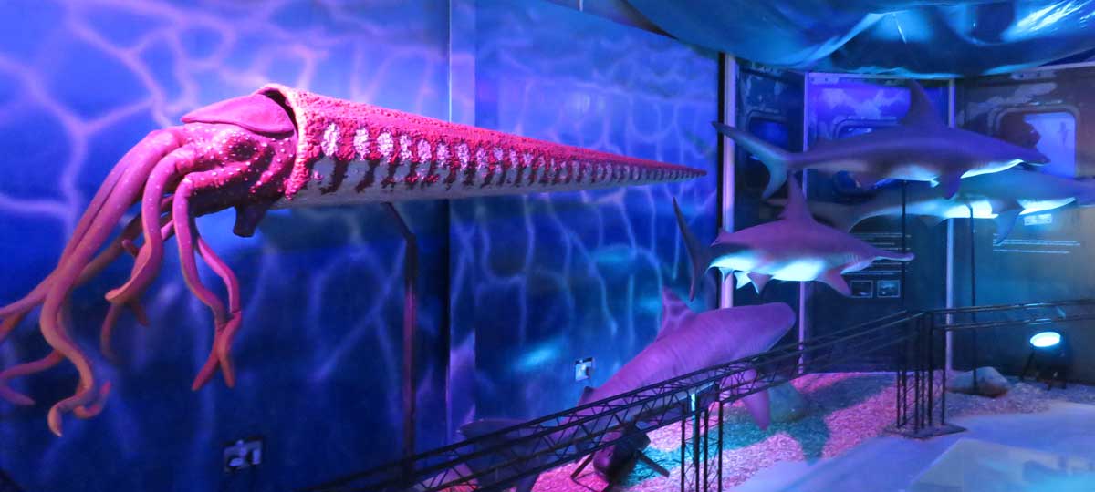 Prehistoric Seas dino-sqid