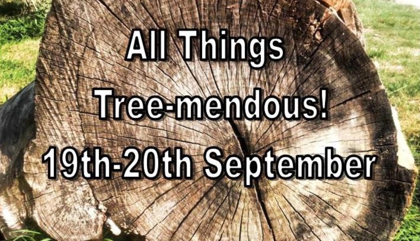 All Things Treemendous! All Things Wild Honeybourne Evesham