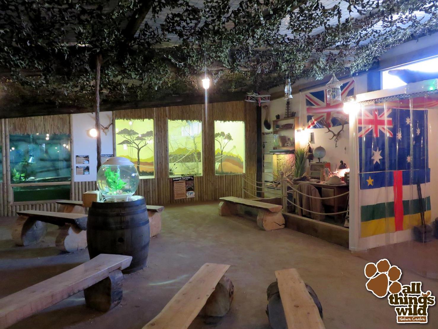 Take A Trip Down Under At All Things Wild All Things Wild Honeybourne Evesham