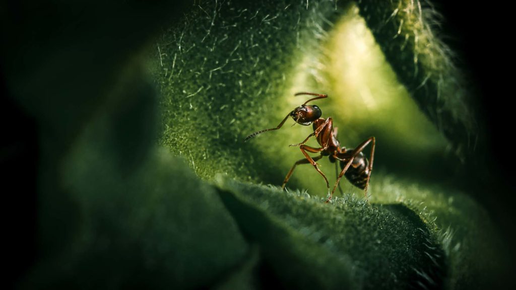 All Things Wild Nature Trail