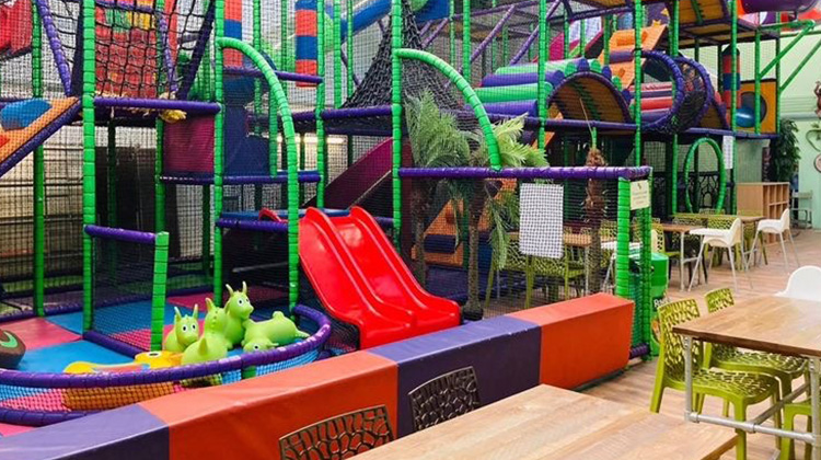 All Things Wild Soft Play 