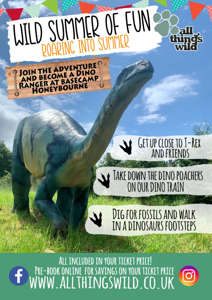 Wild summer of fun all things wild honeybourne evesham