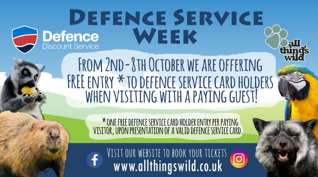 All Things Wild, Wild Festival of Fun