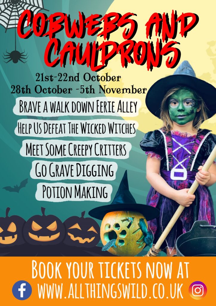 All Things Wild, Wild Festival of Fun