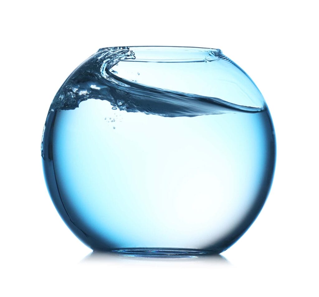 All Things Wild Saving Water