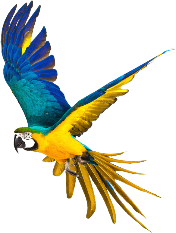 All Things Wild Quick Links and Park Information