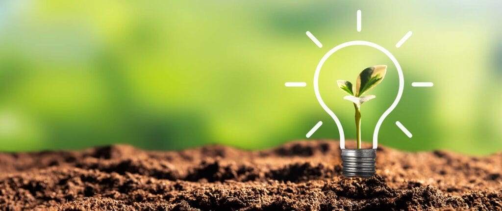 All Things Wild Sustainability