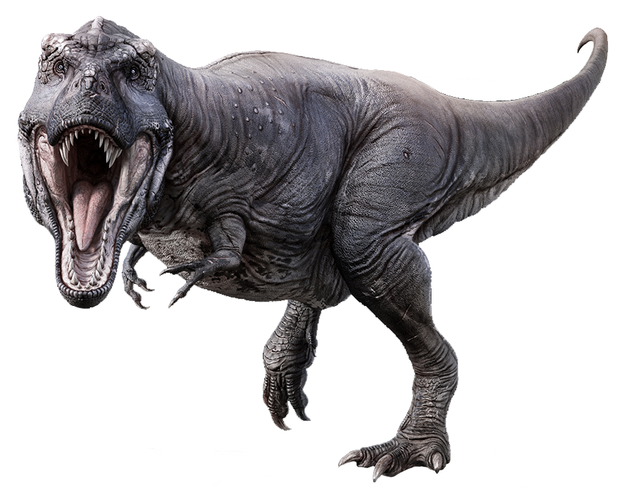 All Things Wild T-Rex Step Through Time