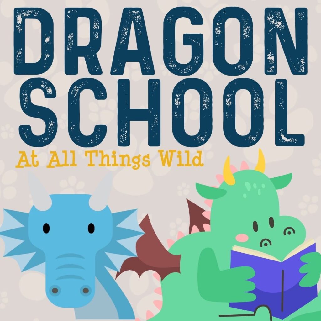 All Things Wild, Wild Festival of Fun