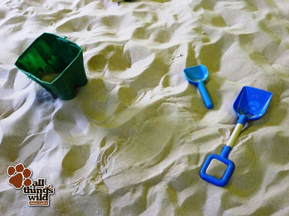 Summer Holiday Blues