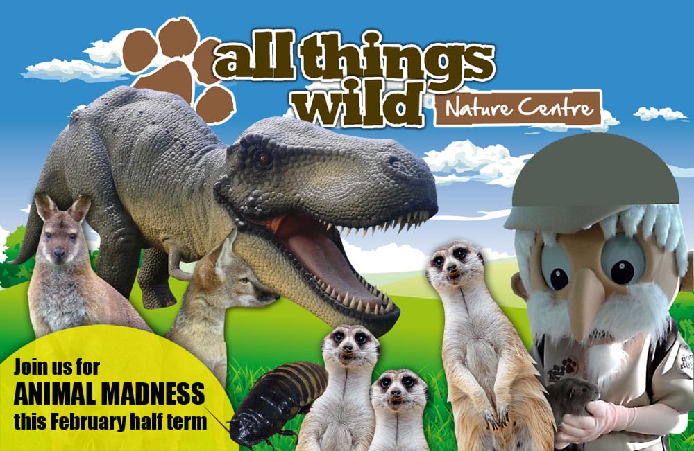 Come to Animal Madness Week February 2015 At All Things Wild