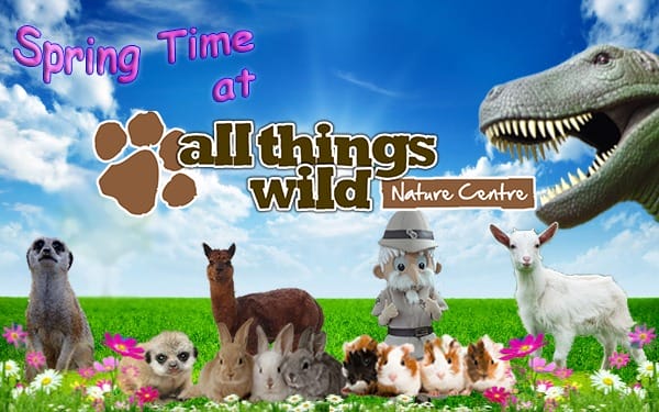 Spring Time at All Things Wild