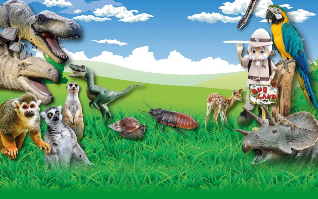 All Things Wild background image, dinosaurs, animals, fun