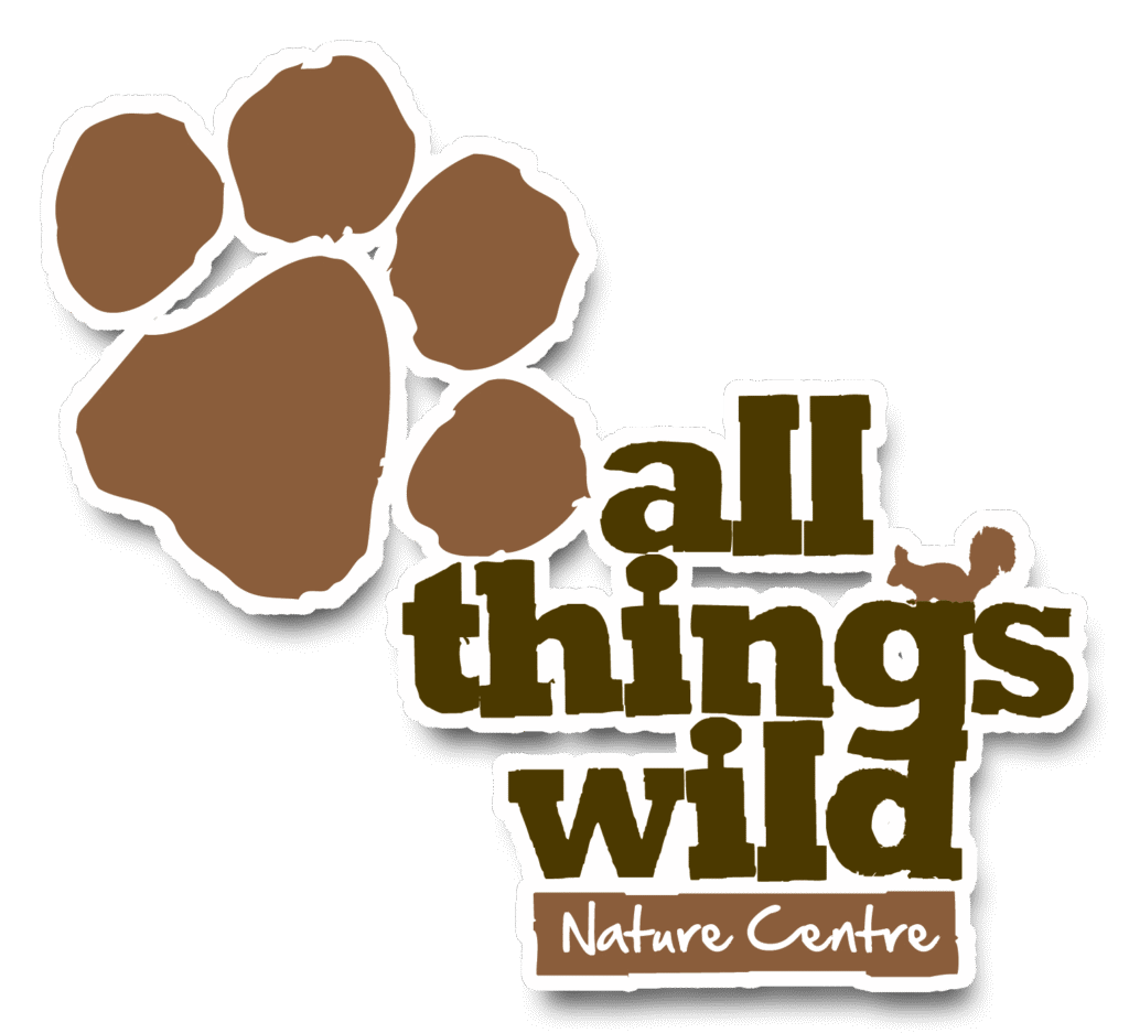 All-Things-Wild-Logoshadow