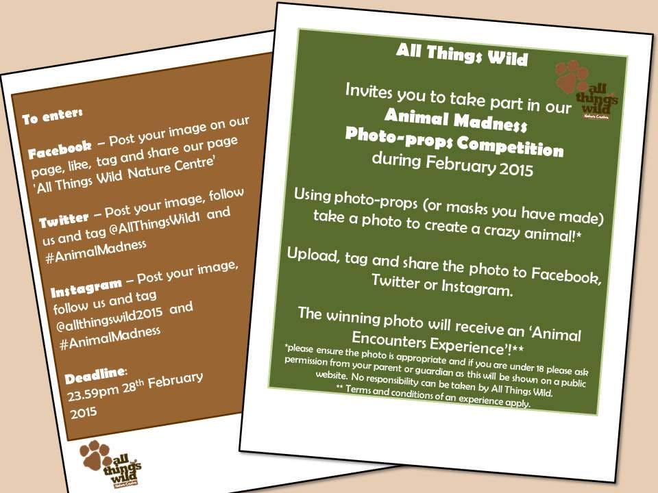 Animal Photo-Props competition