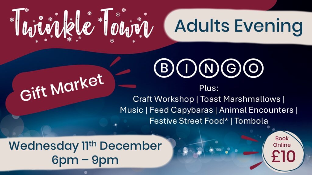 adult christmas evening