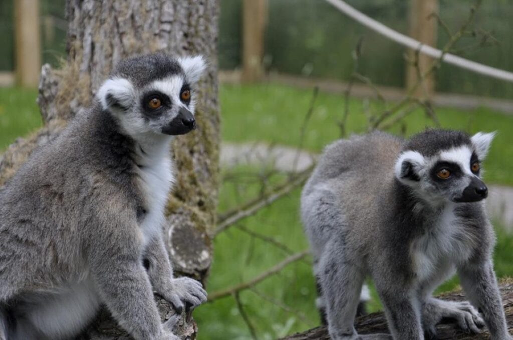 Family Day Out In Evesham